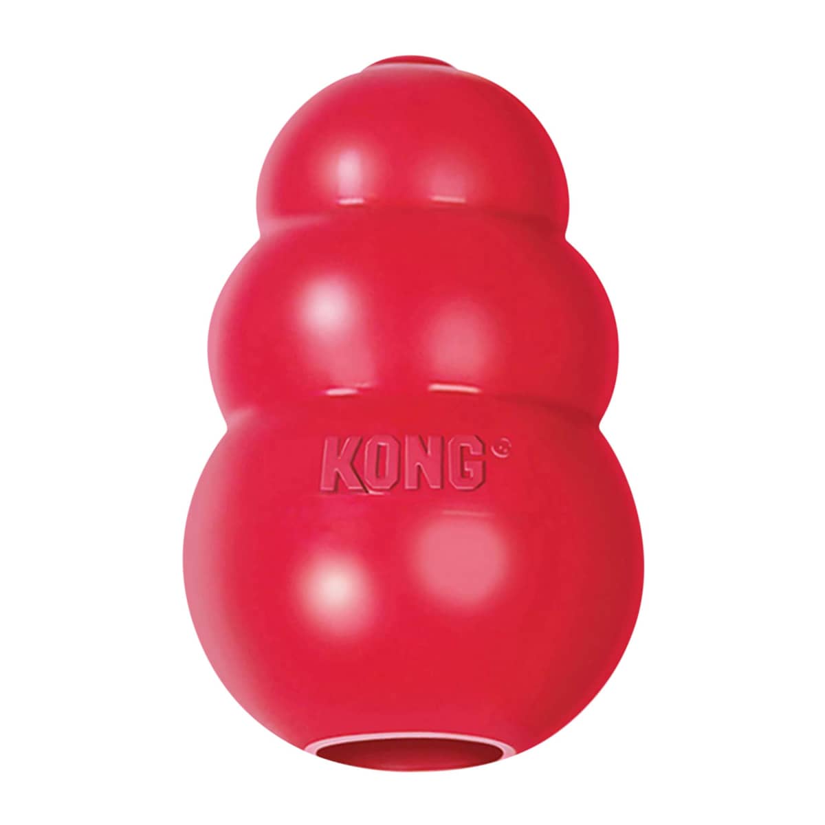 KONG Classic Stuffable Dog Toy, Large